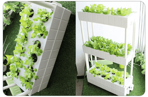 Top 10 Smart Garden and Outdoor Products