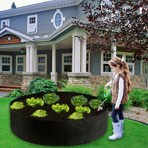 Top 10 Smart Garden and Outdoor Products