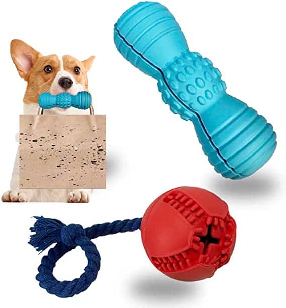 Must-buy Smart Gadgets for Your Pets