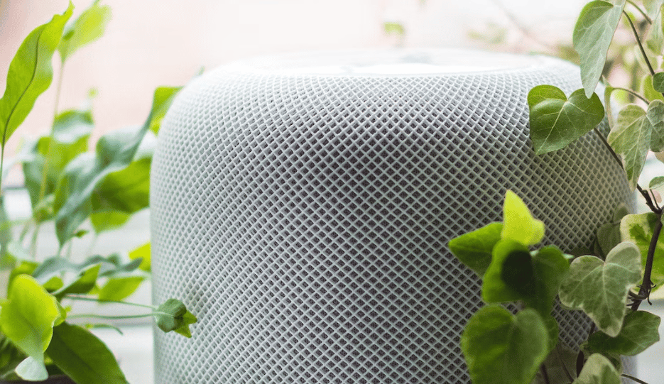 Are Smart Speakers Really Safe?