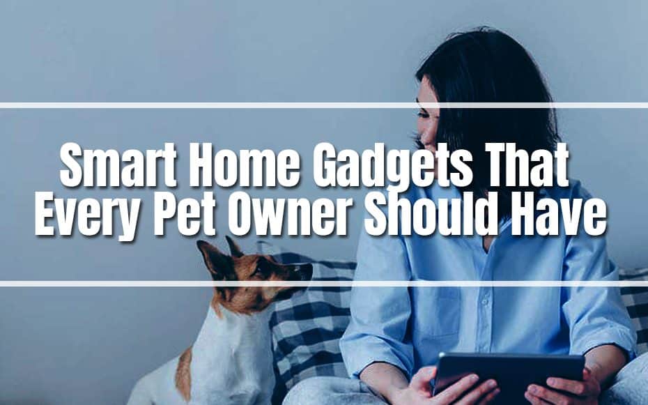 Smart Home Gadgets That Every Pet Owner Should Have