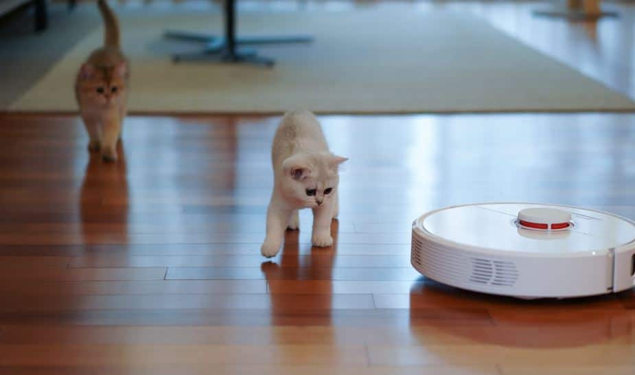 Smart Home Gadgets That Every Pet Owner Should Have