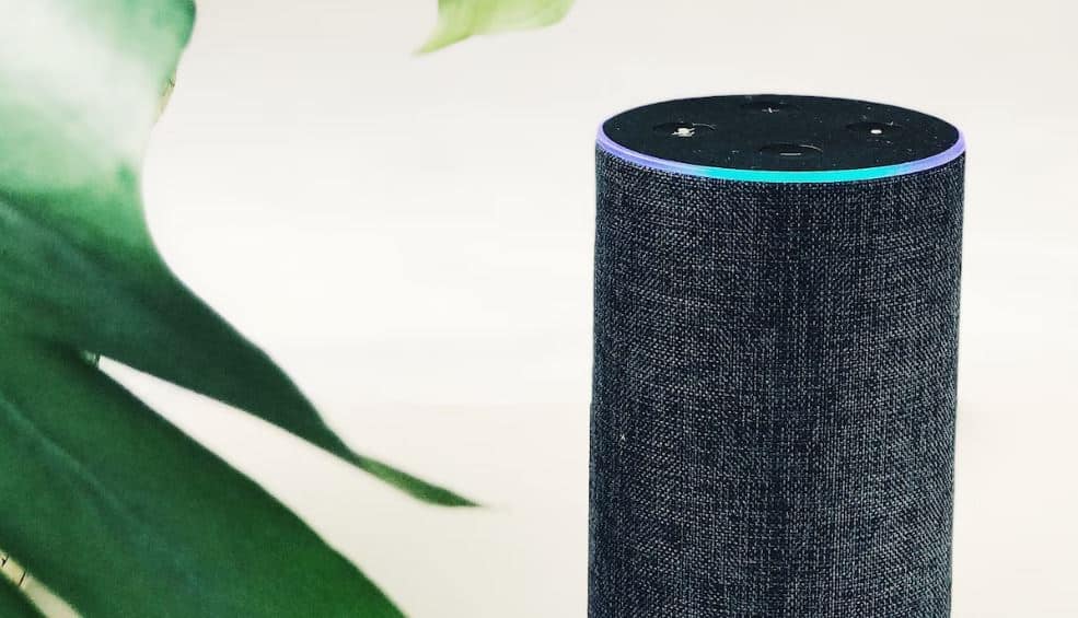 Things You Can Do With Your Smart Assistant